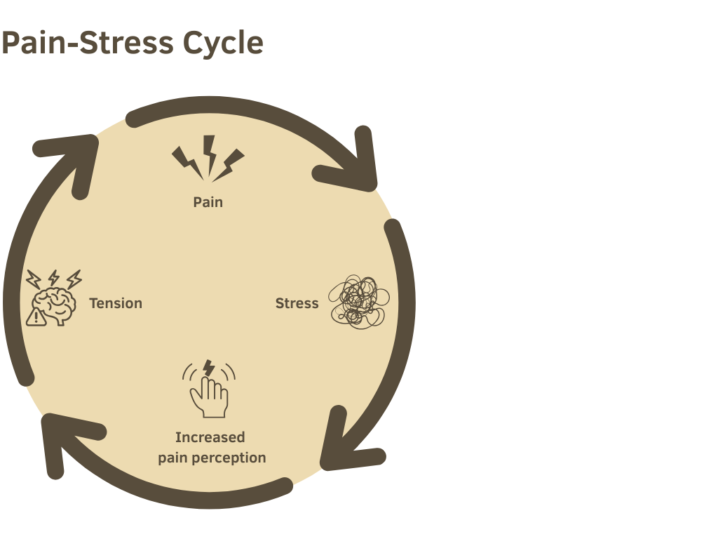 Schmerz-Stress-Kreislauf(1)