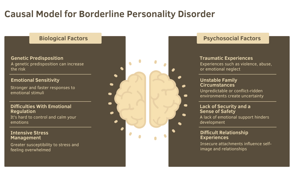 Causal Model for Borderline Personality Disorder Causal Model for Borderline Personality Disorder